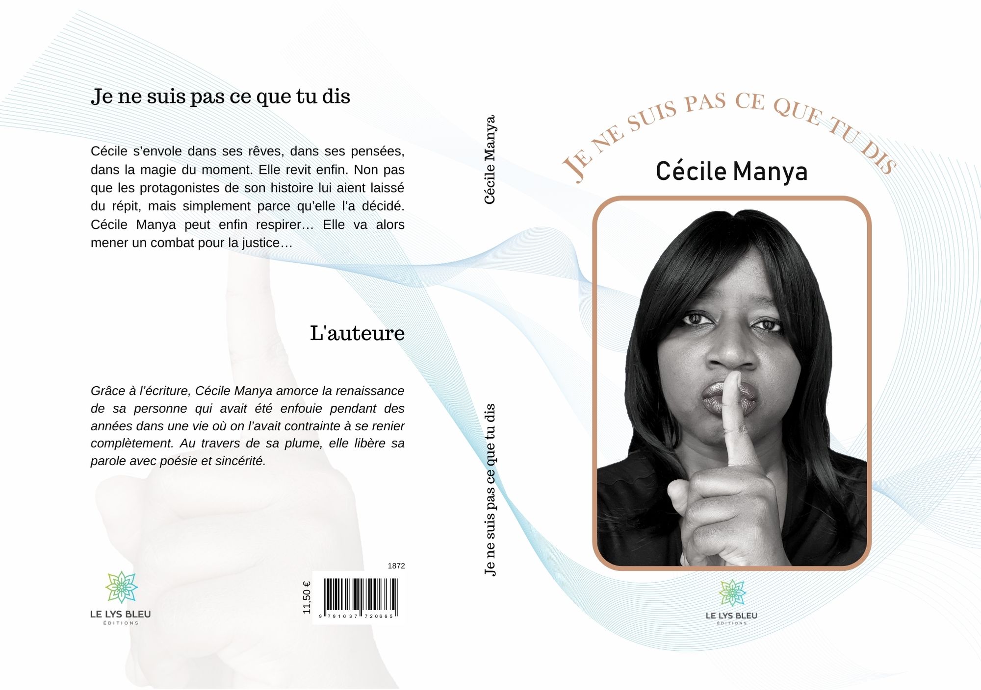 Image d'entête de l'article